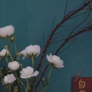 黑人与亚洲女深喉呕吐
